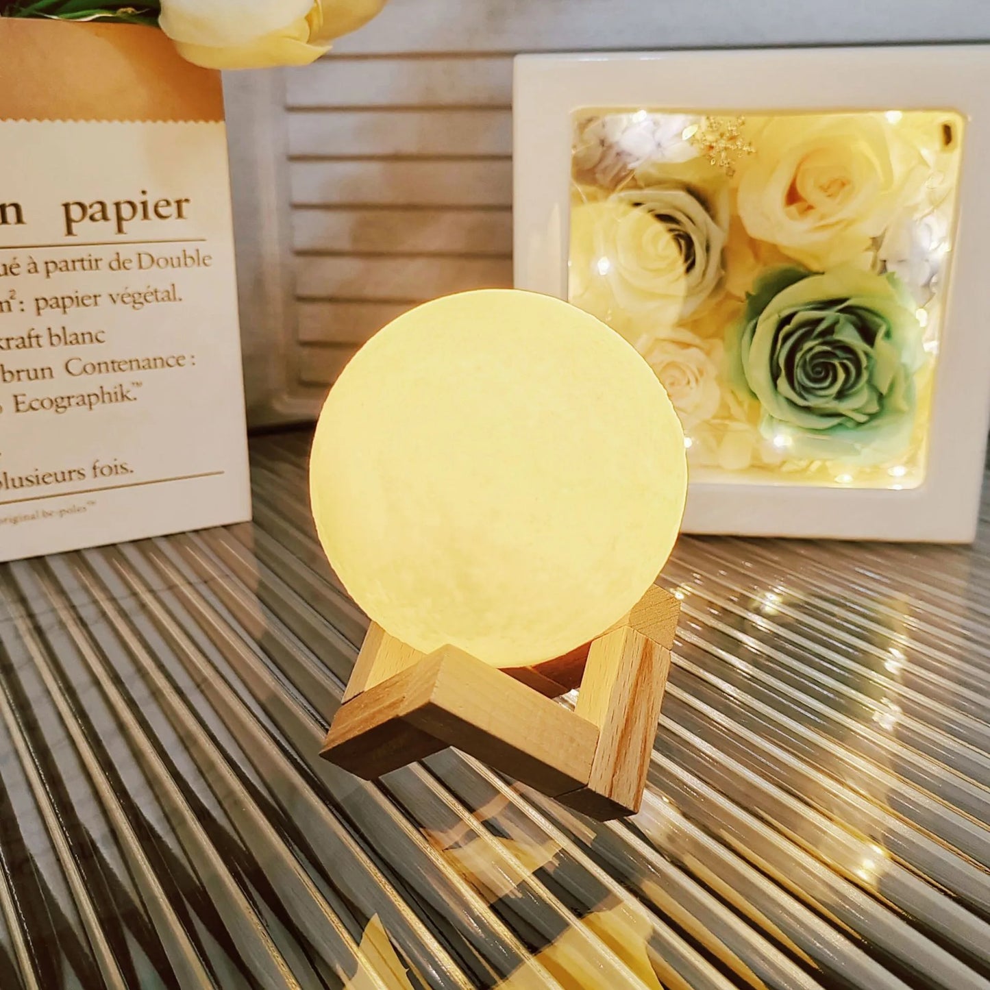 The Moon Light Desk Canvas