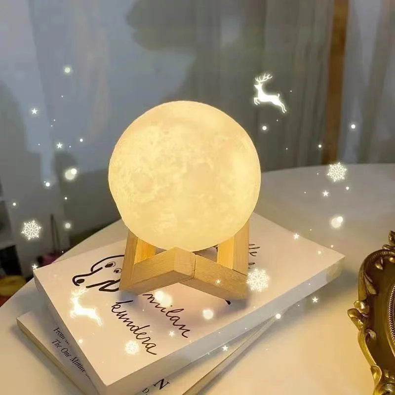 The Moon Light Desk Canvas